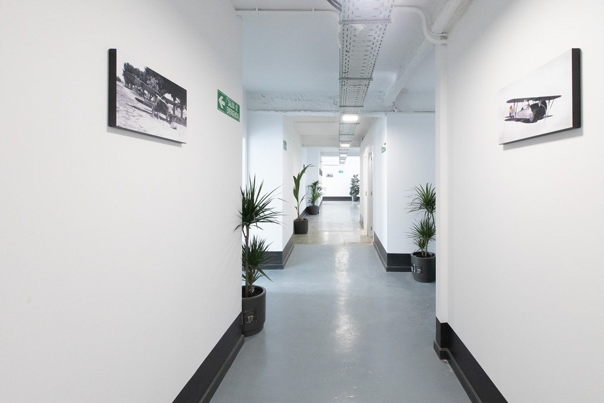 Pasillo de oficinas para alquilar Edificio Puma Norte de Promotora Puma