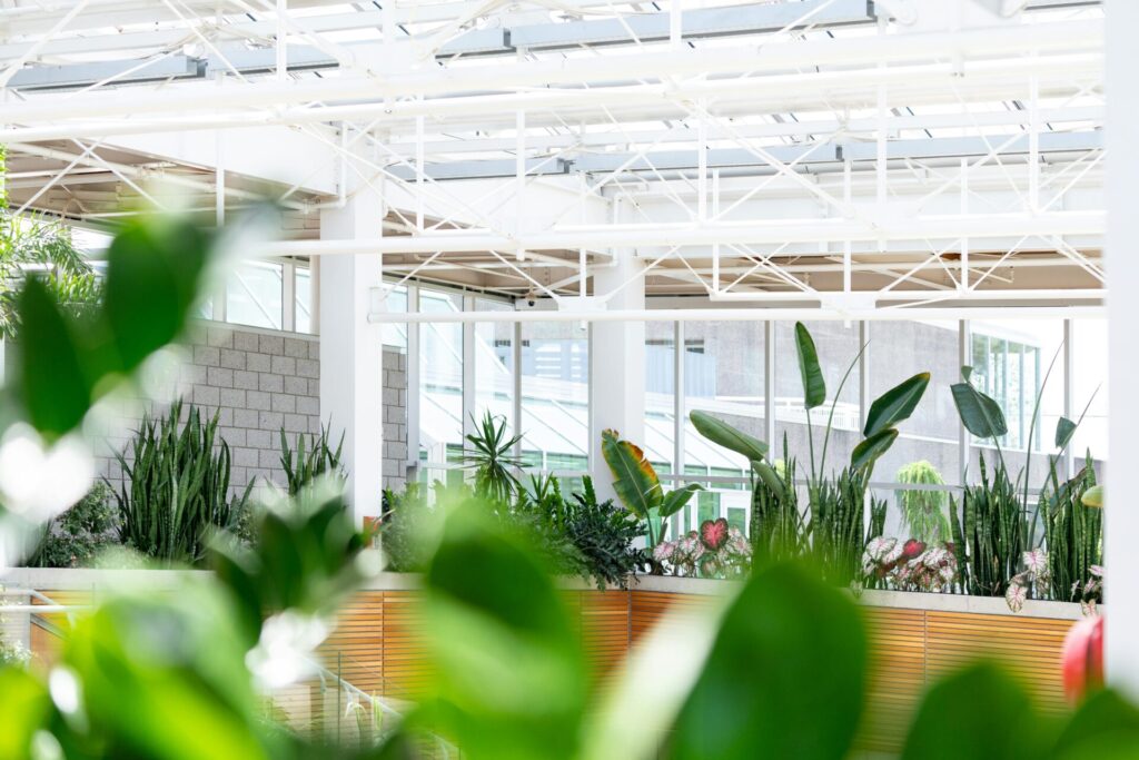 Plantes a l'interior d'una oficina